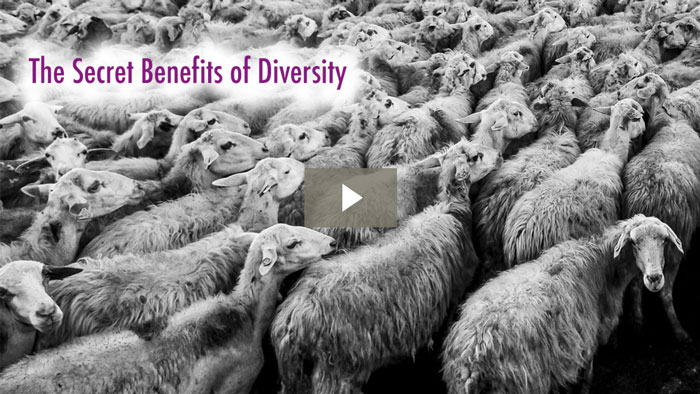 The Secret Benefits of Diversity
