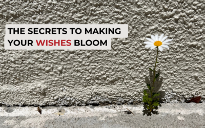 The Secrets to Making Your Wishes Bloom